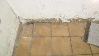 Abgeplatzter Wandbereich über braunen Bodenfliesen